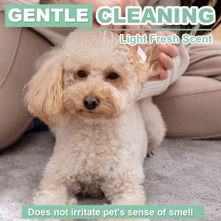 3in1 Pet Wipes 100ct, Extra Large, 8in x 10in