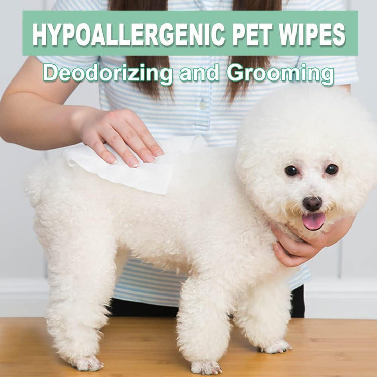 Pet Wipes 100ct Extra Large 8in x 10in Air Jungles