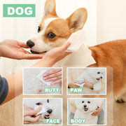3in1 Pet Wipes 100ct, Extra Large, 8in x 10in