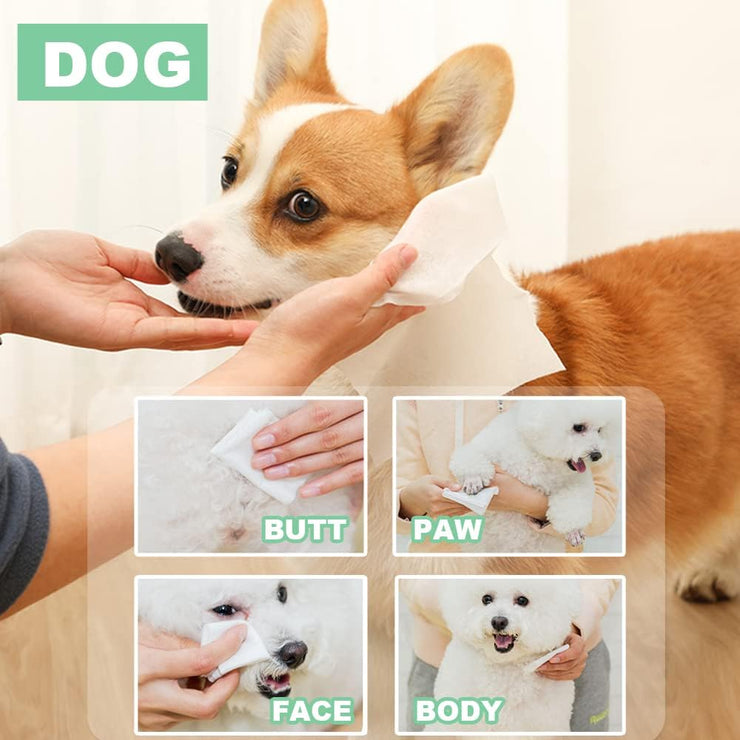 3in1 Pet Wipes 100ct, Extra Large, 8in x 10in