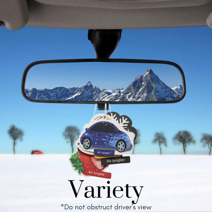 Car Air Freshener Hanging 6 Packs, Variety