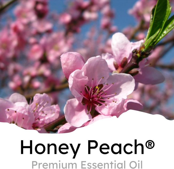 Car Air Freshener Vent Clip, Honey Peach®