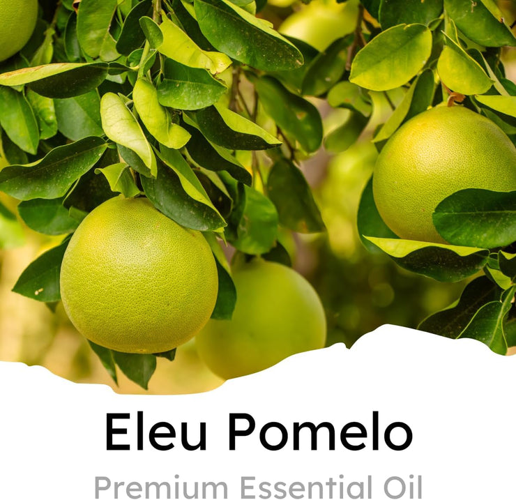 Car Air Freshener Vent Clip, Eleu Pomelo
