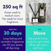Reed Diffuser Set, Lavender