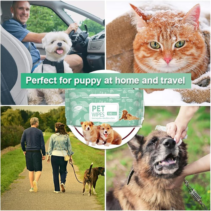 3in1 Pet Wipes 100ct, Extra Large, 8in x 10in