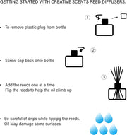Reed Diffuser Set, Summer Passion