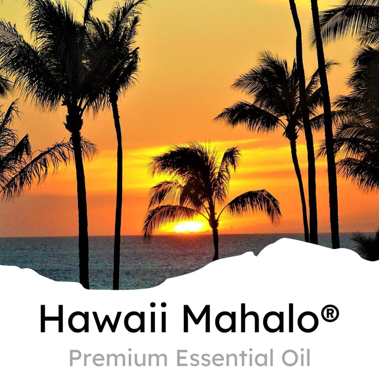 Car Air Freshener Vent Clip, Hawaii Mahalo®