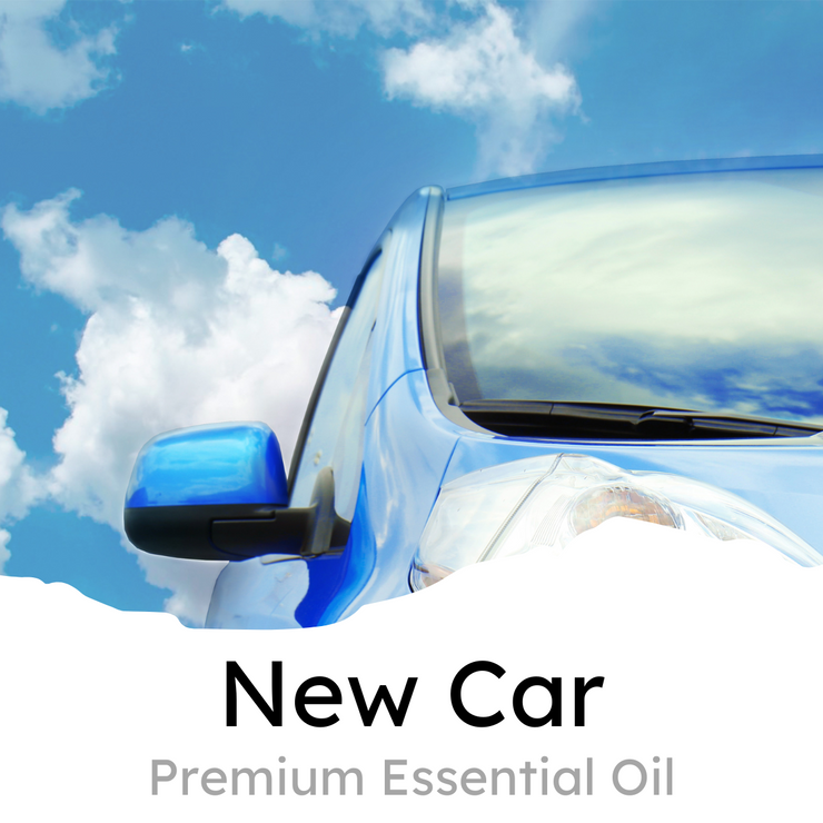 Car Air Freshener Vent Clip, New Car